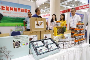 魚臺79家企業亮相省城，生態農產品與保潔服務雙星閃耀